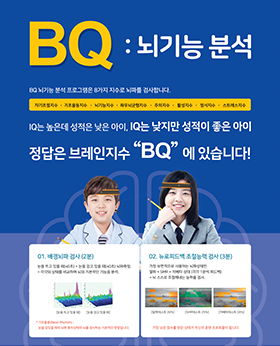 브레인지수 BQ